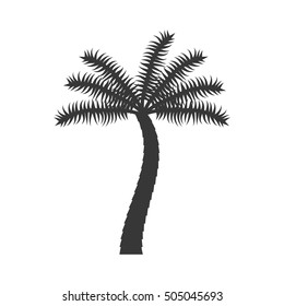 palm tropical tree isolated icon vector illustration design