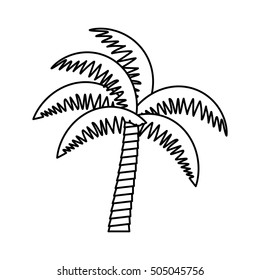 palm tropical tree isolated icon vector illustration design