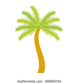 palm tropical tree isolated icon vector illustration design