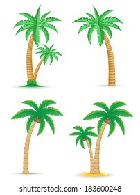 palm tropical tree set icons vector illustration isolated on white background