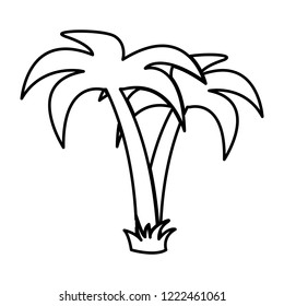 Palm tropical tree - vector icon without  fill