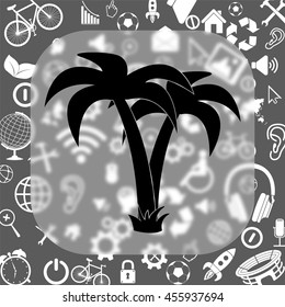 palm tropical tree vector icon - matte glass button on background consisting of different icons