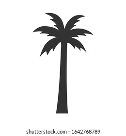Palm. Tropical tree. Vector illustration.