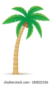 palm tropical tree vector illustration isolated on white background