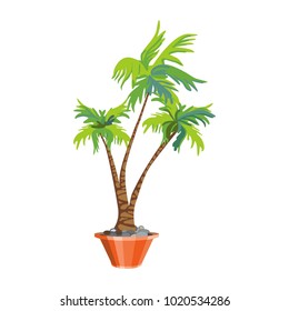 The palm in the tuft. Exotic tree. Vector isolated illustration