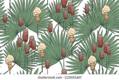 Palm and tumeric flowers. Big leaves and exotic flowers composition. Vector illustration. Botanical seamless wallpaper. Digital nature art. Cartoon style sketch. White background.