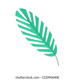 Tapa de palma sobre un fondo blanco para su uso en el diseño del clipart. Imagen aislada de vectores para su uso en el diseño web