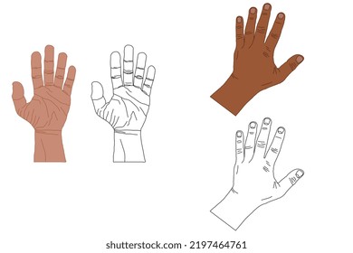 Palm vector. Back of hand vector illustration. Cartoon flat style of human hand parts