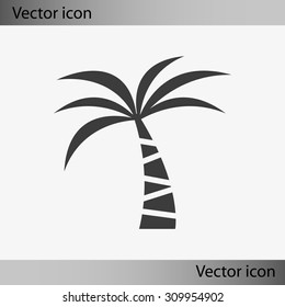 Palm vector icon