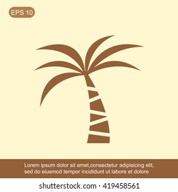 Palm vector icon

