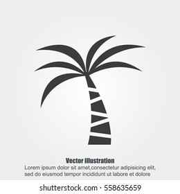 Palm vector icon