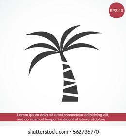 Palm vector icon