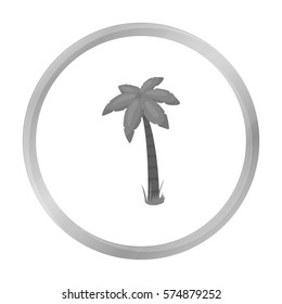 Palm vector icon in monochrome style for web