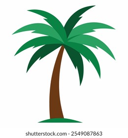 palm. vector illustration. stylized palm tree