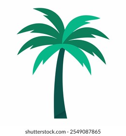 palm. vector illustration. stylized palm tree