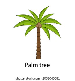 Vector de palma, con la inscripción Palm tree. Palmeras con cocos aislados en un fondo blanco