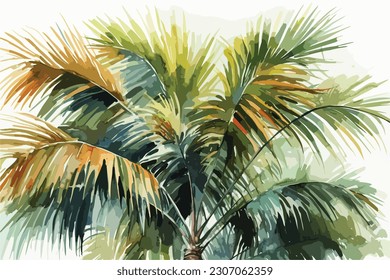 Palm watercolor painting white background.