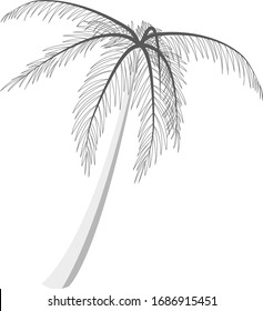 Palmenweißer Hintergrund einzeln auf Busenflora