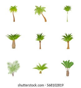 Palma icons set. Cartoon illustration of 9 palma vector icons for web