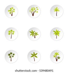 Palma icons set. Flat illustration of 9 palma vector icons for web