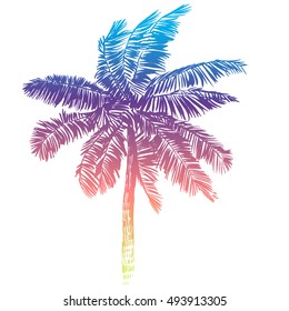 Palma. image in vintage style. Drawing by hand. Tropical plants.