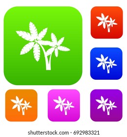 Palma set icon in different colors isolated vector illustration. Premium collection