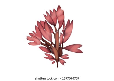 Palmaria delicious fresh red seaweed salad sea food vector Illustration on white Background