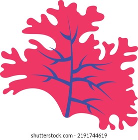 Palmaria palmata Concept, sea lettuce flakes vector color icon design, Deep sea creature symbol, Aquatic Elements Sign, Underwater animal stock illustration