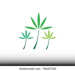 palmate compound leaves icon.- Logo