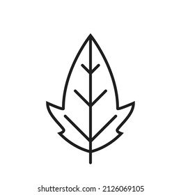 palmate leaf line icon. botanical and nature symbol. isolated vector image in simple style