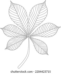 palmate leaf vector icon black and white
