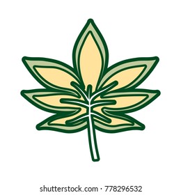  palmate leaf  vector illustration