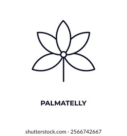 palmatelly outline icon. Linear vector from nature concept. Thin line palmatelly icon isolated on white background