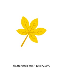 palmatifid maple leaf flat icon on transparent background