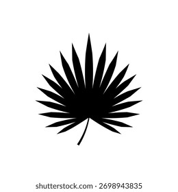 Palmetto folha silhueta vetor design plano em fundo branco. Ícone folha de Palmetto.