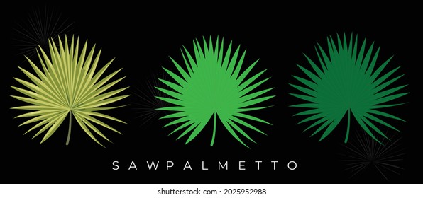 Palmetto Vector Illustration, Green leaf design Illustration 