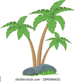 Palmier Tree, Vektorkunst und Illustration