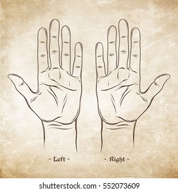 Palmistry or Chiromancy Chart Blank Template. Vector illustration.