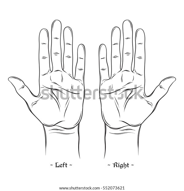 Palmistry Chiromancy Chart Blank Template Vector Stock Vector Royalty Free