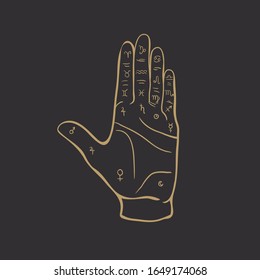 Palmistry or chiromancy hand with signs of the planets and zodiac signs black and white hand drawn design isolated vector illustra. Destiny, divination.