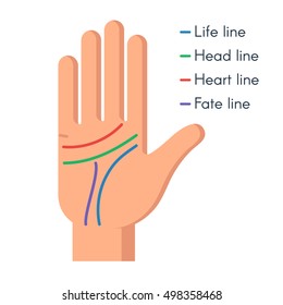 Palmistry concept. Human hand, the value of the lines on the palm. Vector flat illustration isolated on white background