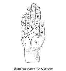 Palmistry. Esoteric occult symbols on hand, palm of prophecy or reading design. Hand drawing. Vector. 