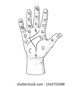 Palmistry. Esoteric occult symbols on hand, palm of prophecy or reading design. Hand drawing. Vector. 