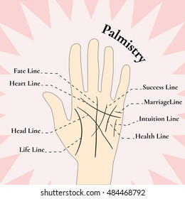 Palmistry. Guessing on the hand. The lines on the hand.
