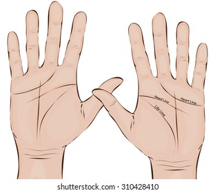 Palmistry. Hands. Two palms