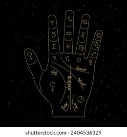 Palmistry and hieromancy. Hand lines and their meanings. Celestial and mystical astrology. Magical vector illustration.