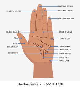 Palmistry. Open hand lines and symbols mystical reading. Flat vector stock illustration