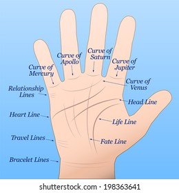 Palmistry - Right hand with lines and their names. Vector illustration on blue gradient background.