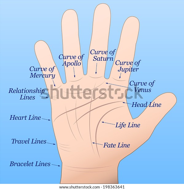 Palmistry Right Hand Lines Their Names Stock Vector (Royalty Free ...