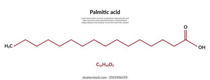 Palmitic acid or hexadecanoic, molecular structure formula, suitable for education or chemistry science content. Vector illustration